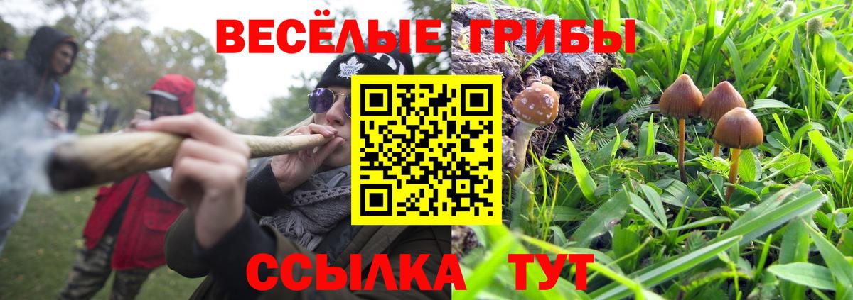 закладка  Галлюциногенные грибы GOLDEN TEACHER  Галлюциногенные грибы прущие грибы  Вход с VPN  Калининград 